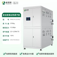 復(fù)合艙微過熱蒸汽發(fā)生器（1.7噸）