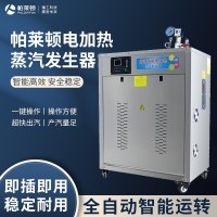 帕萊頓電加熱108kw蒸汽發(fā)生器