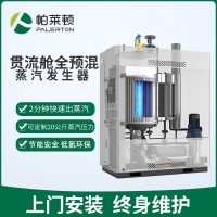 商用大型燃氣蒸汽蒸發(fā)器全自動蒸汽鍋爐