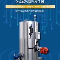 立式燃油氣蒸汽發(fā)生器