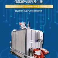 低氮燃?xì)庹羝l(fā)生器