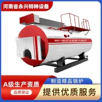 WNS高效一體冷凝燃?xì)庹羝仩t