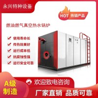 ZZJZLJ冷凝式超低氮燃?xì)鉄崴仩t