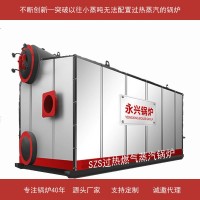 低氮環(huán)保廠家提供終身服務(wù)全國(guó)聯(lián)保超低氮排放燃?xì)庑驼羝仩t