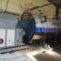 生物質(zhì)氣燃?xì)鈨捎谜羝仩t