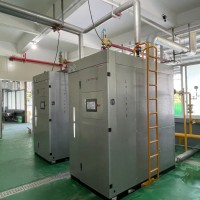 雷杰熱能蒸汽發(fā)生器 免檢 環(huán)保設(shè)備1T