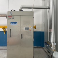 超低氮免檢蒸汽發(fā)生器0.5T