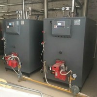 眾力鍋爐500KG 貫流式燃?xì)庹羝l(fā)生器 超低氮冷凝蒸汽發(fā)生