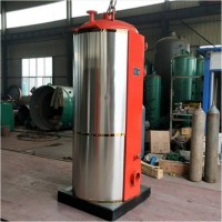 200-500KG立式燃油蒸汽鍋爐燃?xì)庹羝仩t