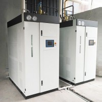 500KG燃氣蒸汽發(fā)生器