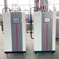 200KG燃氣蒸汽發(fā)生器